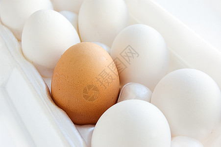 不一样变体蛋黄食物独奏小吃棕色饮食多样性白色椭圆形背景图片