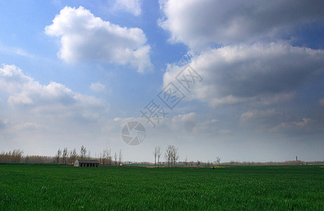 中国安徽怀北蓝色场地环境天空孤独植树荒野农村绿色风光图片