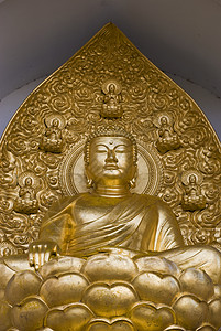 金佛祷告雕像佛教徒冥想宗教背景图片