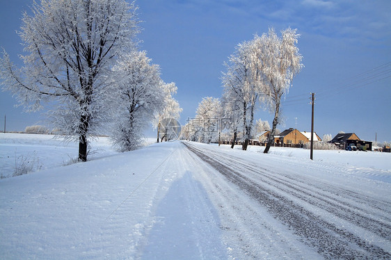 雪中道路中的积雪蓝色森林松树快乐场景天空白色图片