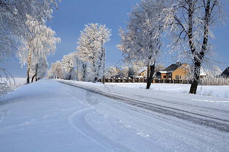 雪中道路中的积雪天空白色松树森林蓝色场景快乐图片