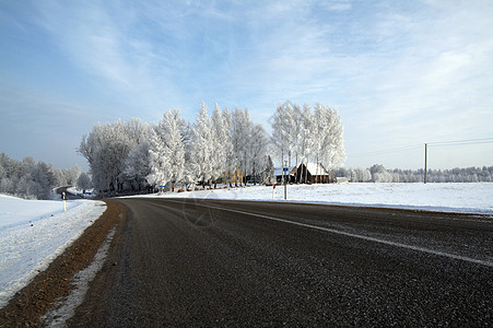 雪中道路中的积雪快乐天空白色森林松树蓝色场景图片