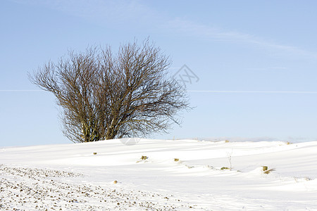 雪旅行美丽天空场景场地街道国家天气森林暴风雪图片