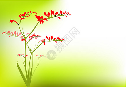 美丽自由花店树叶红色绿色植物插图花瓣季节植物群图片