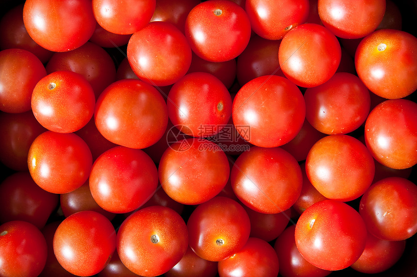 宝宝西番茄2图片