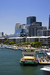 澳大利亚悉尼市风景运输天际海湾旅游建筑物办公室巡航码头船舶景观图片