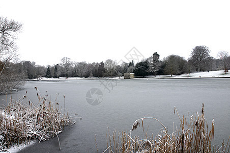冬季湖季节降雪树木天空天气冻结场景公园雪景国家图片