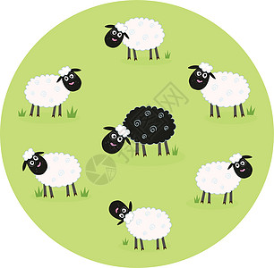 在白羊家庭中间 一只黑羊孤单孤单农场震惊压力寂寞人群羊毛快乐草地情感插图图片