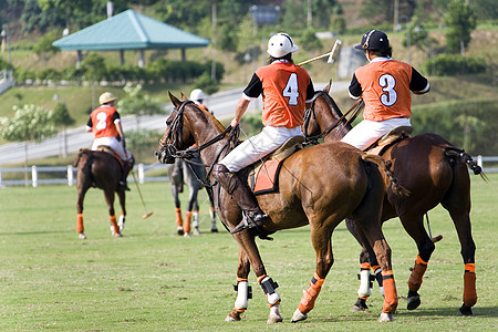 波罗波娱乐玩家竞赛速度运动马匹男人场地活动团队图片