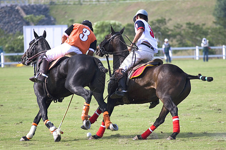 波罗波团队竞赛男人俱乐部马匹良种运动游戏骑师速度图片