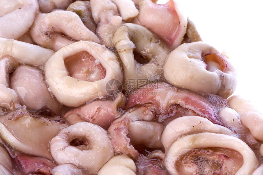 被孤立的冷冻乌奎环戒指烹饪营养海鲜章鱼美食午餐食物海洋鱿鱼图片