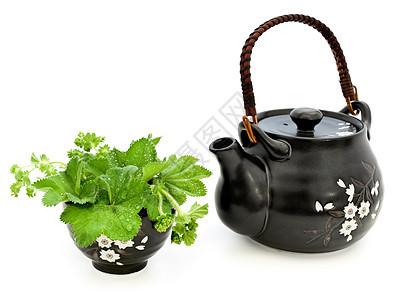 茶茶套餐具桌子仪式血管陶器礼仪用具制品绿色黏土图片
