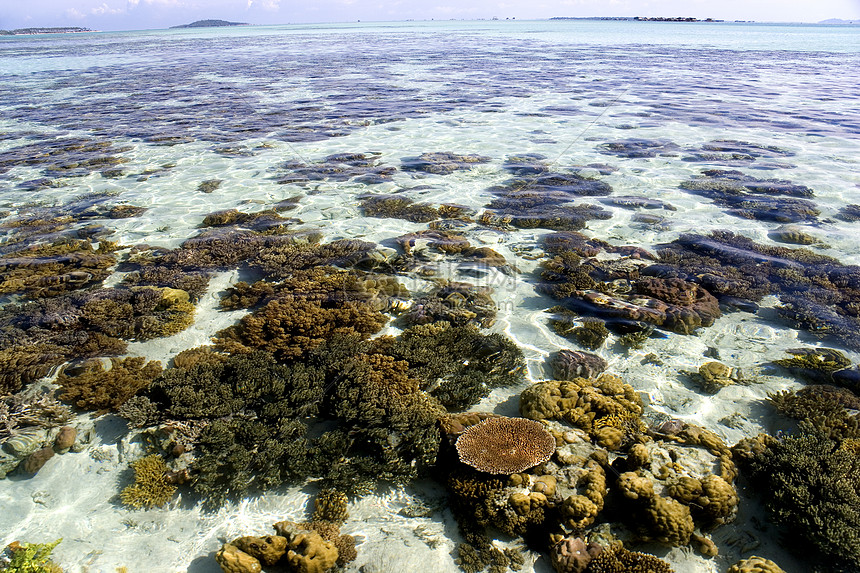 珊瑚海风景假期海岸海洋情调海浪地平线热带天堂天空图片