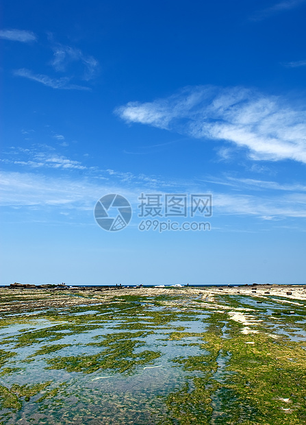 绿岩地和蓝天空植物旅行杂草海水苔藓晴天海景沿海海岸海藻图片