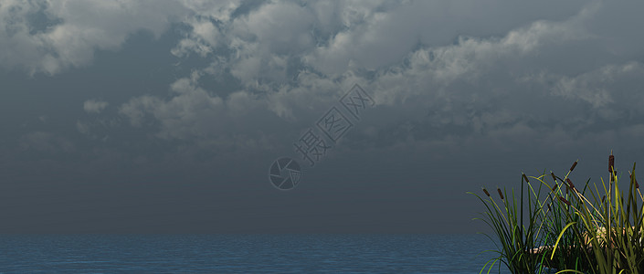 瑞发海洋石头地平线风暴芦苇天气插图天空波浪横幅背景图片
