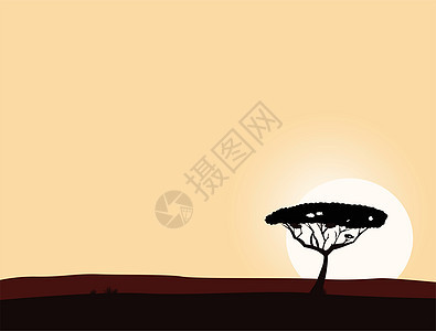 非洲野生动物背景 黑树黑色环影带环境阳光日落太阳旅行天空植物大草原橙子国家图片
