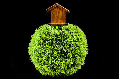 木屋小屋草地场地绿色塑料花园房子生长世界生态学家图片