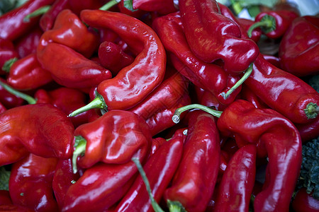 红胡椒蔬菜辣椒食物红色背景图片