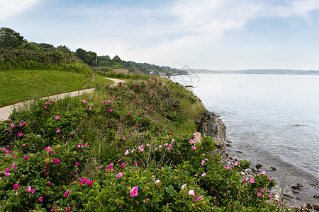 玫瑰海岸纽港罗得岛海岸背景