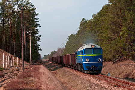 运输柴油列车火车树木货物力量后勤风景森林抛光日光环境图片