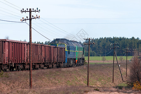 运输柴油列车水平风景环境森林抛光机车日光树木货运火车图片