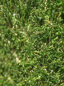 人造草塑料地毯花园公园绿色背景图片