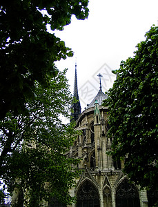 巴黎圣母院教会植物大教堂飞行母院建筑学地标背景图片