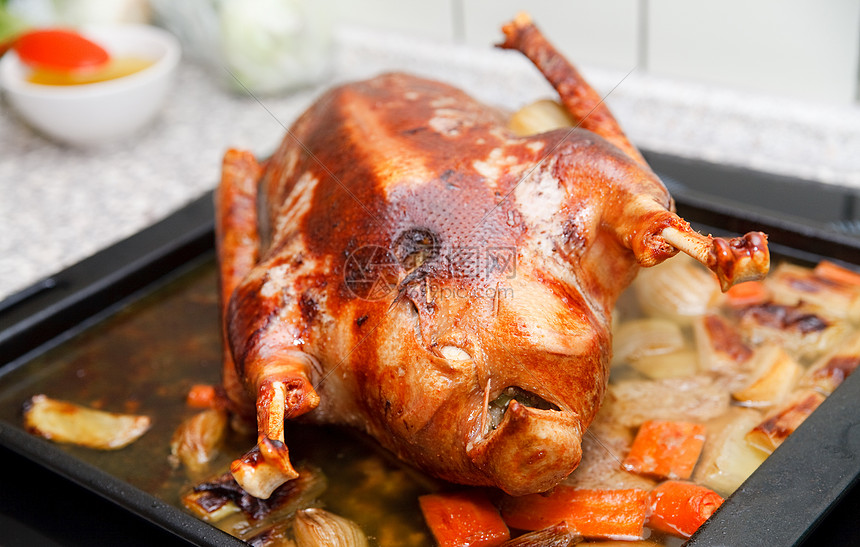 烤鹅金子火鸡白色褐色菜单鸭子盘子烤箱火炉茶点图片