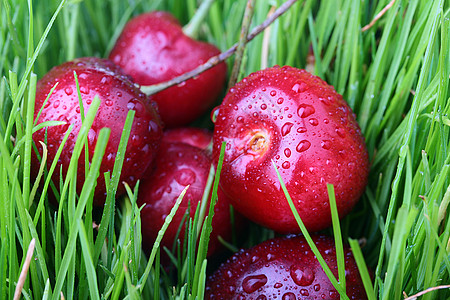 手绘樱桃甜樱桃浆果红色绿色水果食物背景