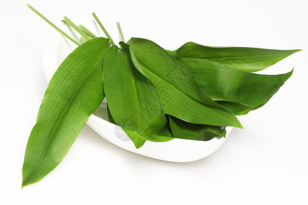 熊大蒜植物绿色健康工作室蔬菜草本植物食物白色草本香料图片