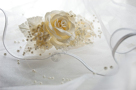 带鲜花和珠珠的冰冻织物背景图片