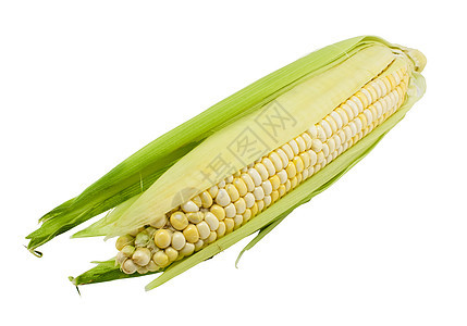 新鲜玉米谷物农业收成食物绿色黄色健康蔬菜棒子背景图片