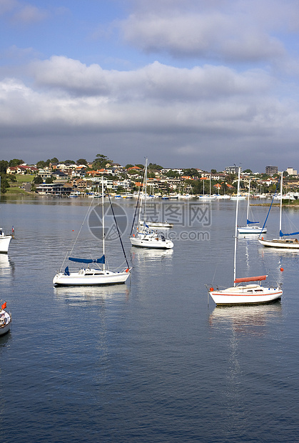 悉尼Birkenhead点的船支撑船只城市建筑海湾运输游客旅游海岸线建筑物图片