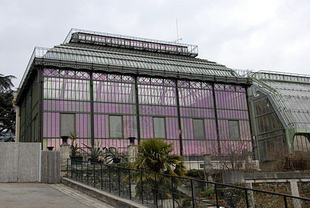 巴黎温温室博物馆棕榈植物园花园首都博物馆旅游植物文化历史绿色图片