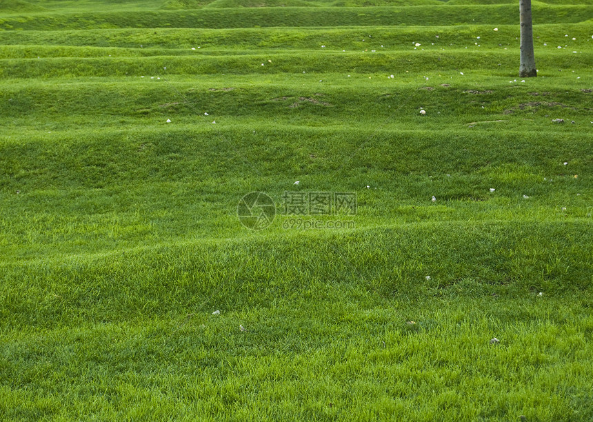 绿绿色日落草原园林草地土地蓝色生长植物纹理天空图片