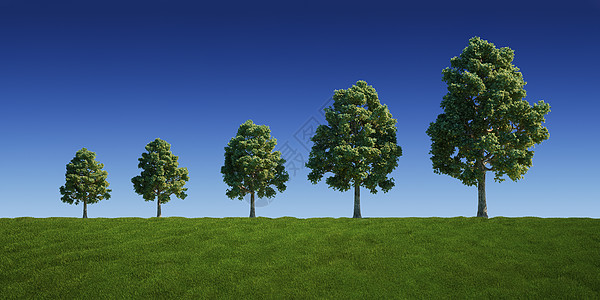 树形图植物绿色环境风景计算机草地土地天空美化季节图片