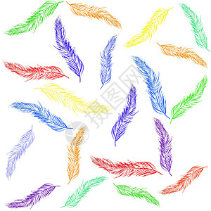 彩色羽毛插图边界白色曲线叶子背景图片