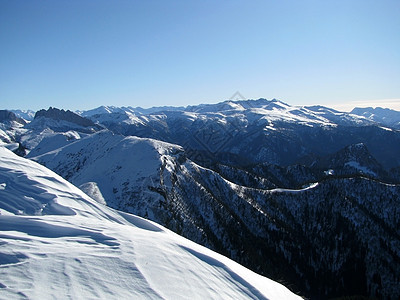 主要高加索山脊登山冰川解脱雪峰全景风景旅行文件植物群高山图片