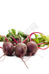 甜菜健康叶子紫色食物维生素白色花园蔬菜红色收成图片