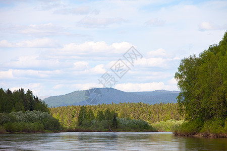 夏季风景 维谢拉河 乌拉尔山场地环境地形海岸反射树木森林旅游荒野溪流图片