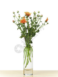 花橙子美丽庆典花瓣雏菊植物群植物礼物花瓶花园图片
