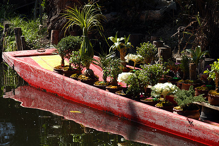 墨西哥城Xochimilco号船游客血管拉丁旅行内河运河码头航海城市蔬菜图片