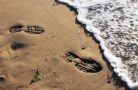 海滩上的脚印记忆野生动物背景图片
