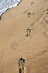 海滩上的足足足迹记忆脚印野生动物背景图片