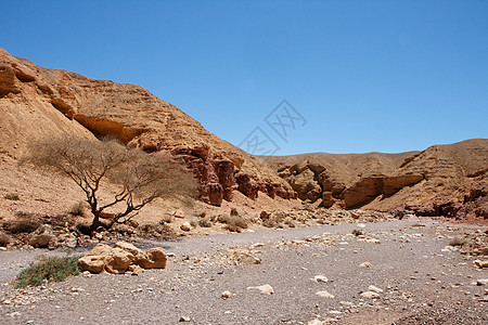 以色列红峡谷荒漠地貌图片