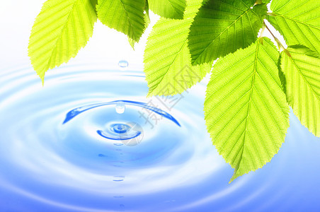 自然雨滴波纹反射生态蓝色绿色晴天太阳环境温泉图片