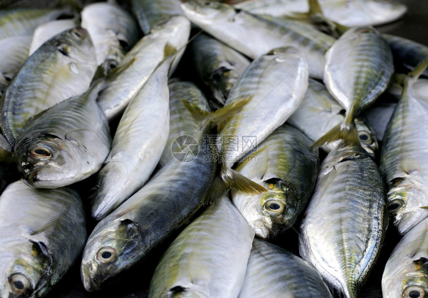 鱼类食物食品维生素节食餐厅柜台钓鱼午餐鲭鱼熟食图片