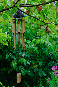 风铃曲调竹子木头下雨苹果树花园空气乐器音乐编钟图片