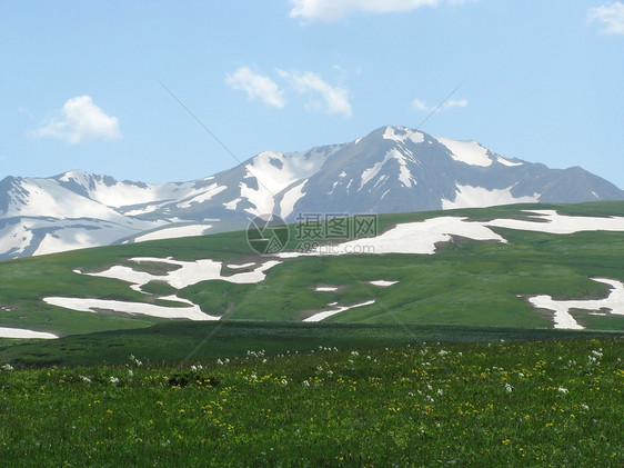 阿尔卑斯山草原斜坡全景旅游花朵路线旅行植物距离高山冰川图片