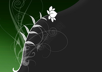 花优雅装饰品螺旋绘画绿色植物插图花丝叶子生日季节图片